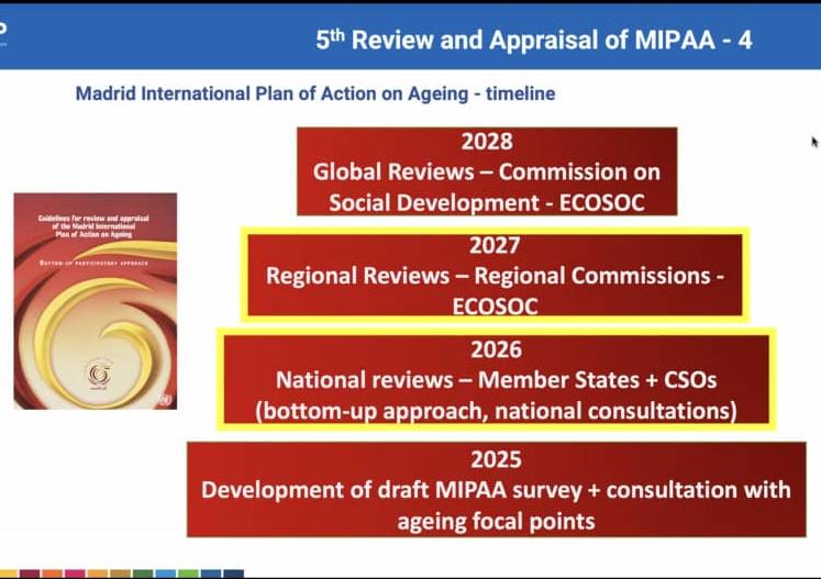 MIPAA fifth review and appraisal timeline from 2025 to 2028